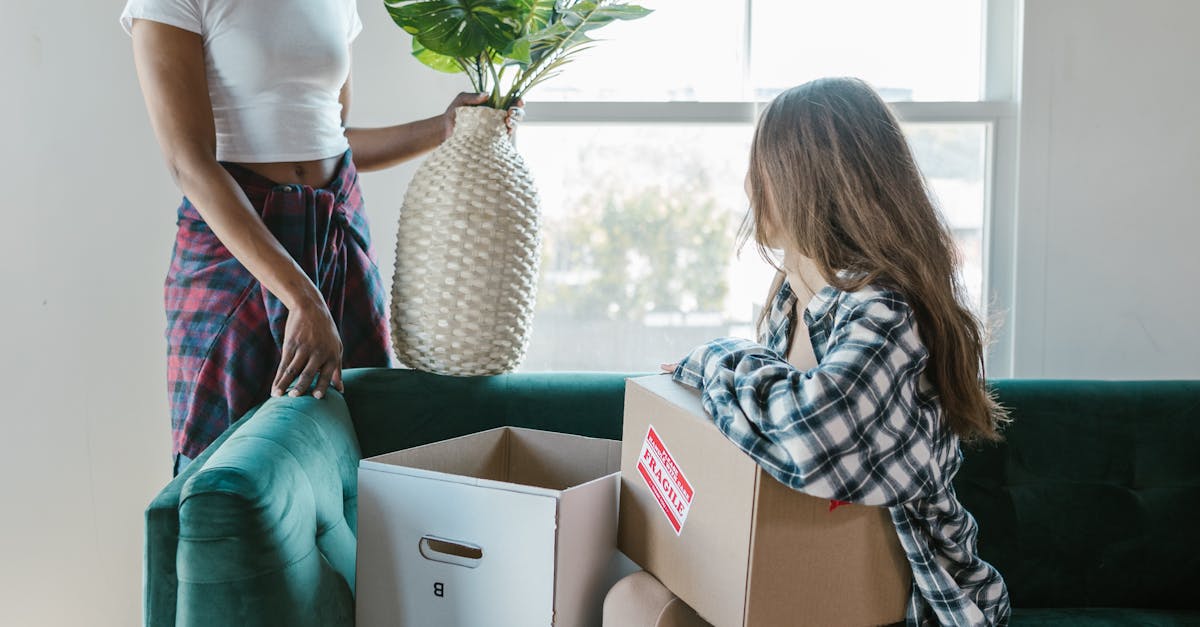 Packing Strategies for Long-Distance Relocation