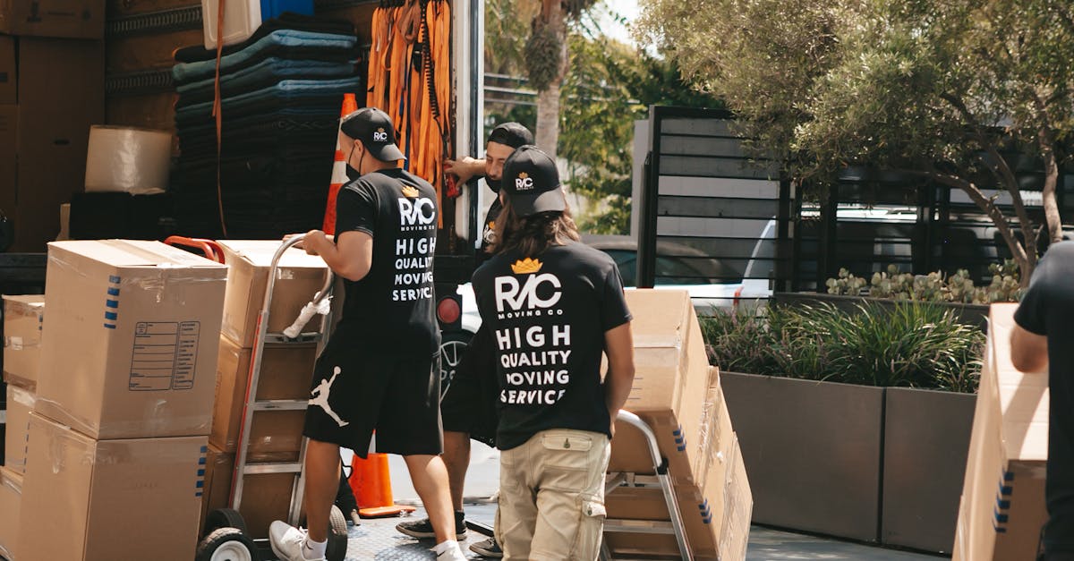 The Ultimate Guide to Local Moves in Sydney